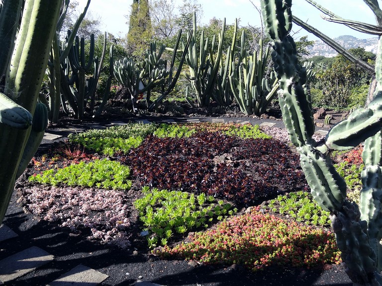 jardin botanique Funchal