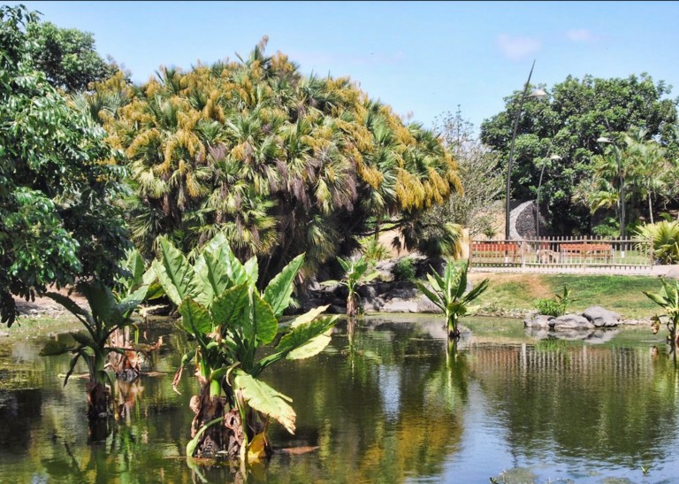 parc botanique SanatCruz