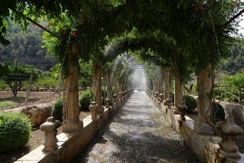 Jardins d'Alfabia