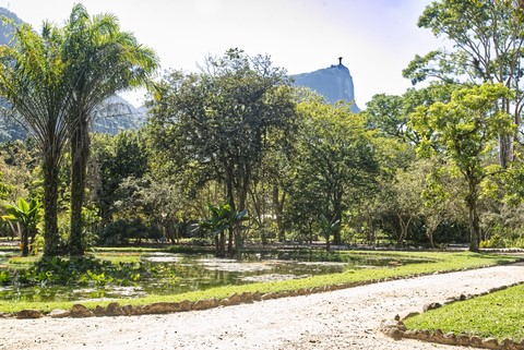 jardin botanique Rio