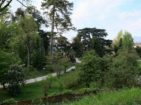 remparts Lucca